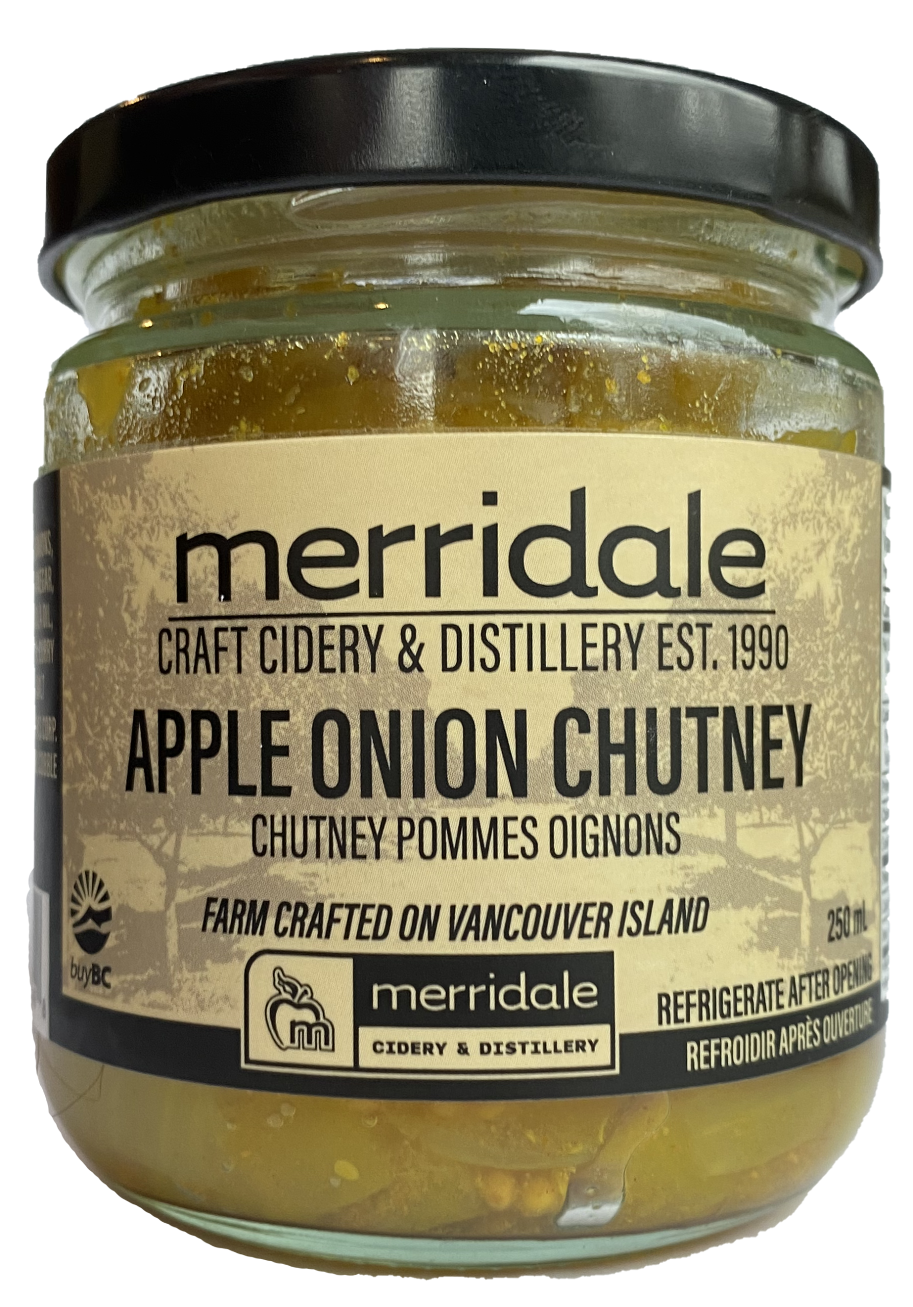 Apple Onion Chutney