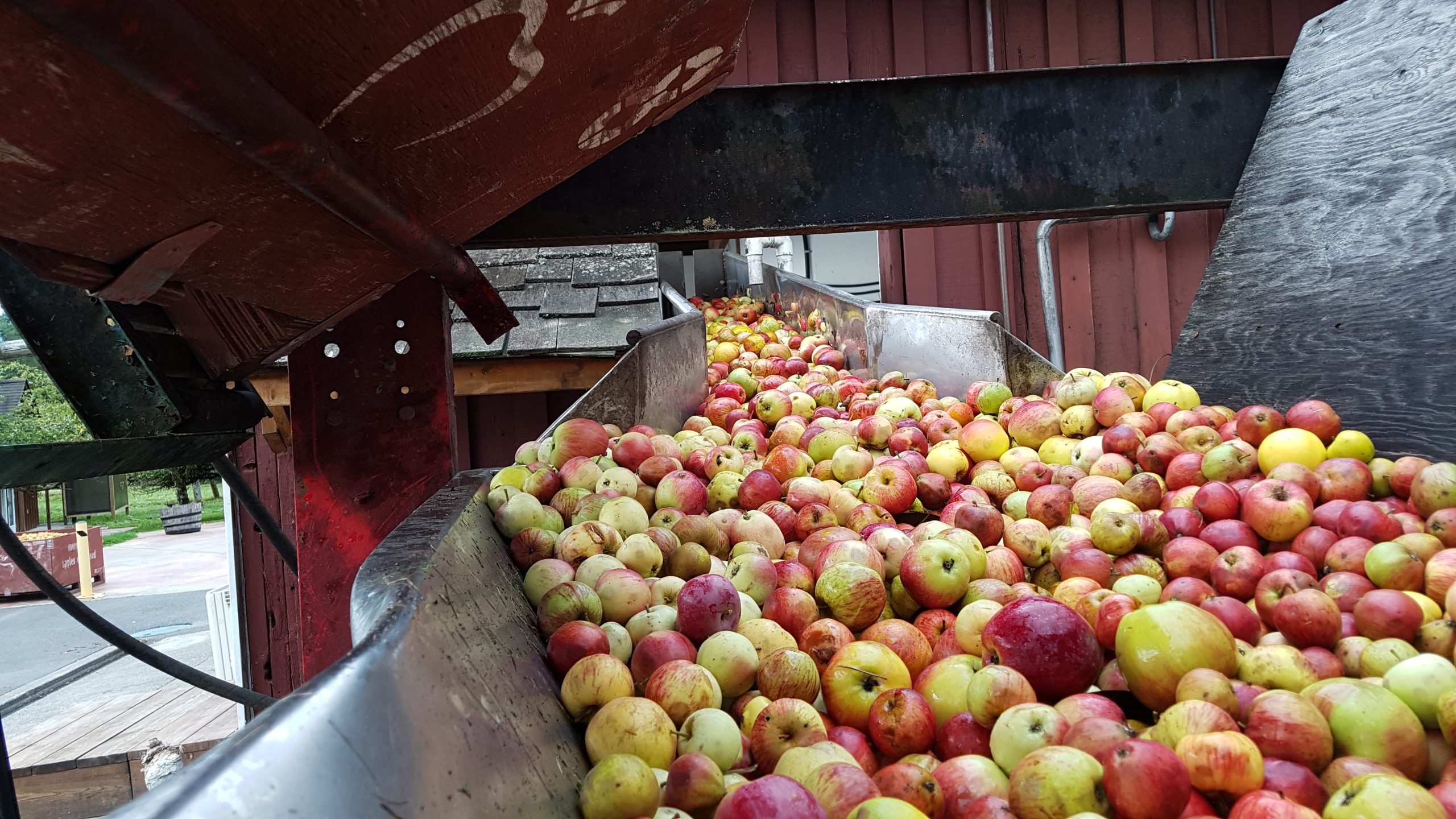 Apple Pressing in Action